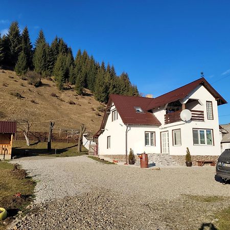 Casa Abp Villa Dornavátra Kültér fotó