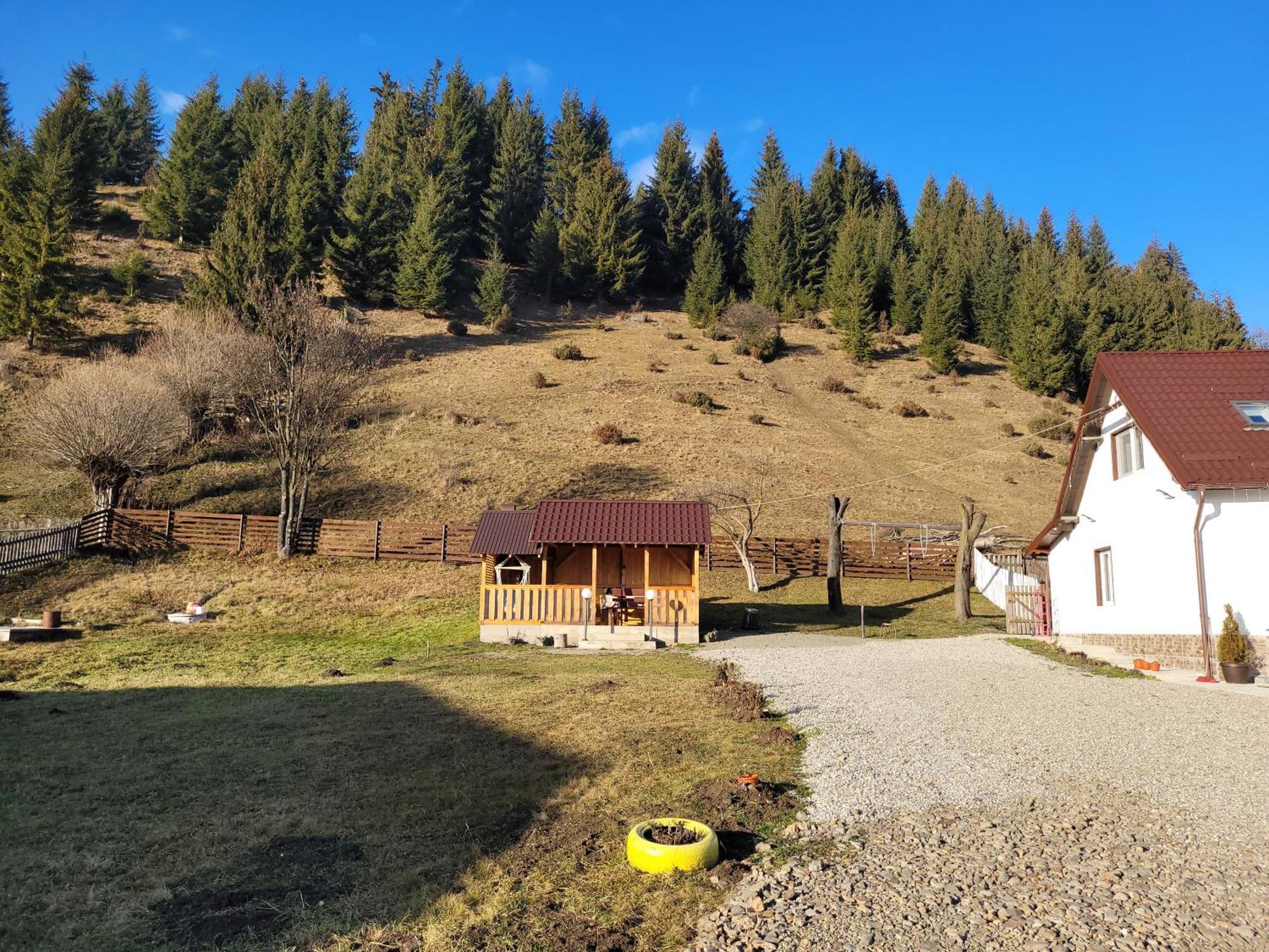 Casa Abp Villa Dornavátra Kültér fotó